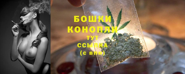стафф Гусиноозёрск